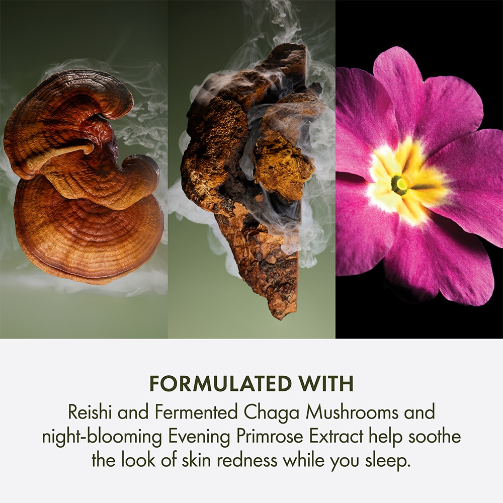 Dr. Weil For Origins™ Mega-Mushroom Overnight Recovery Cream 靈芝菇菌抗逆修護晚霜