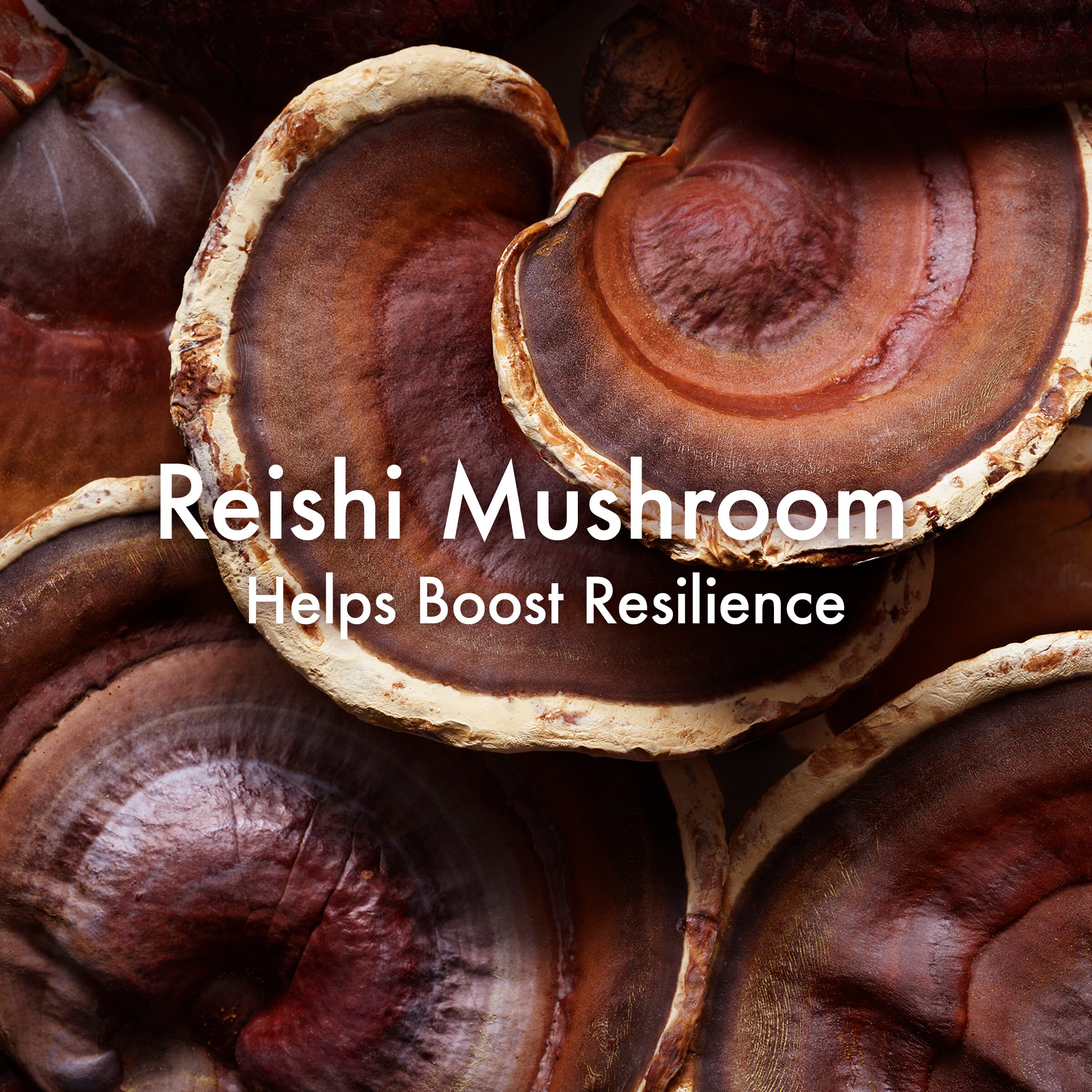 Dr. Andrew Weil for Origins™ 